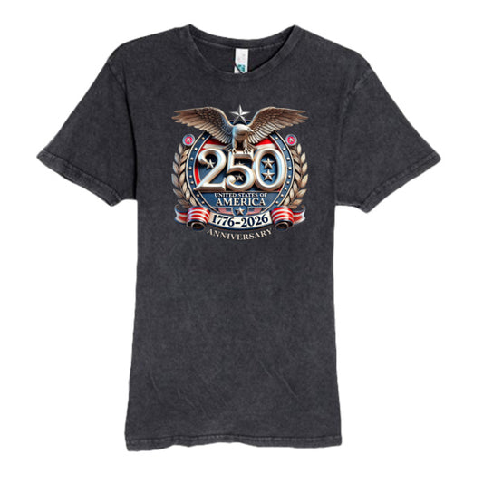 AMERICA 250 CLASSIC TEE - VINTAGE BLACK